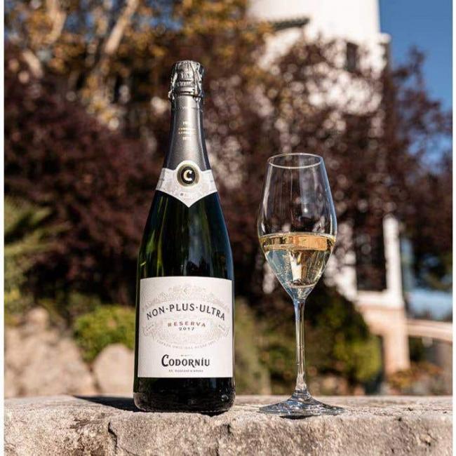 codorniu-npu_2019_1.jpg
