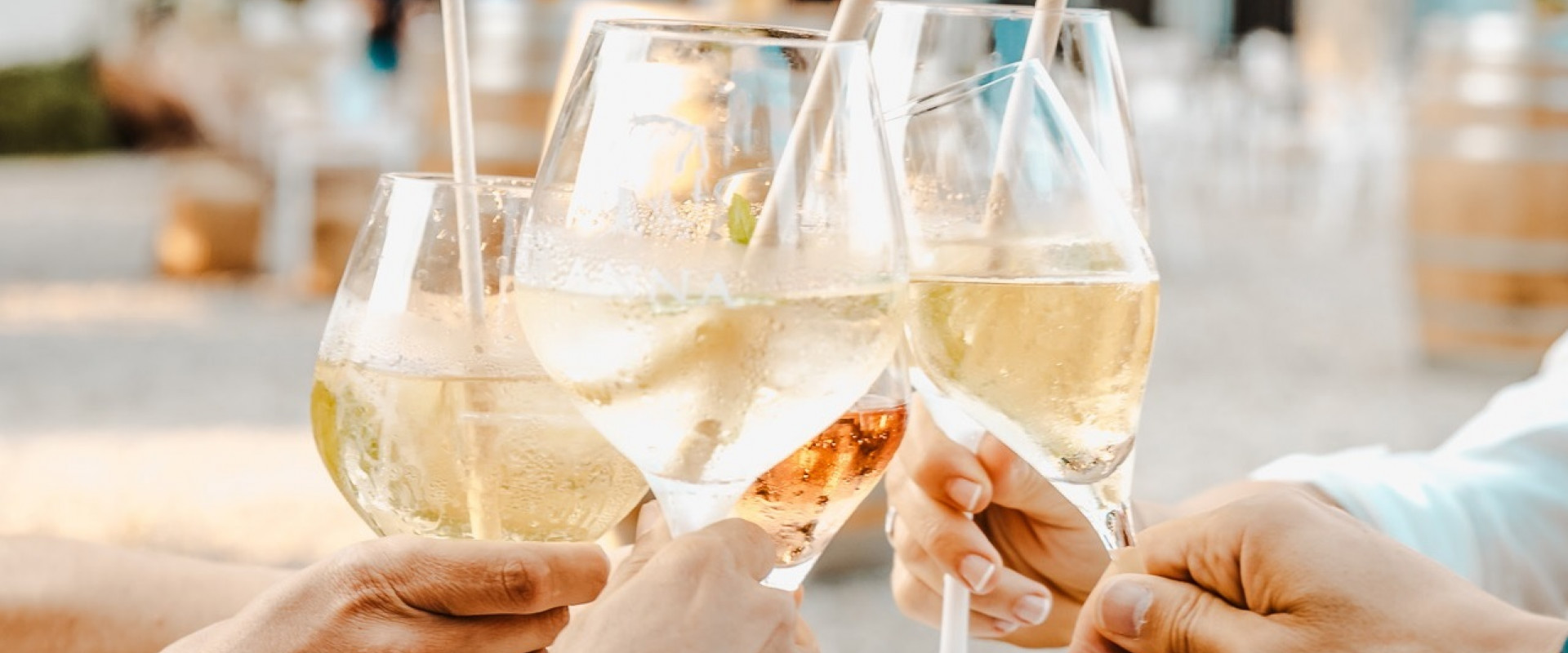 Codorniu fest_0.jpg