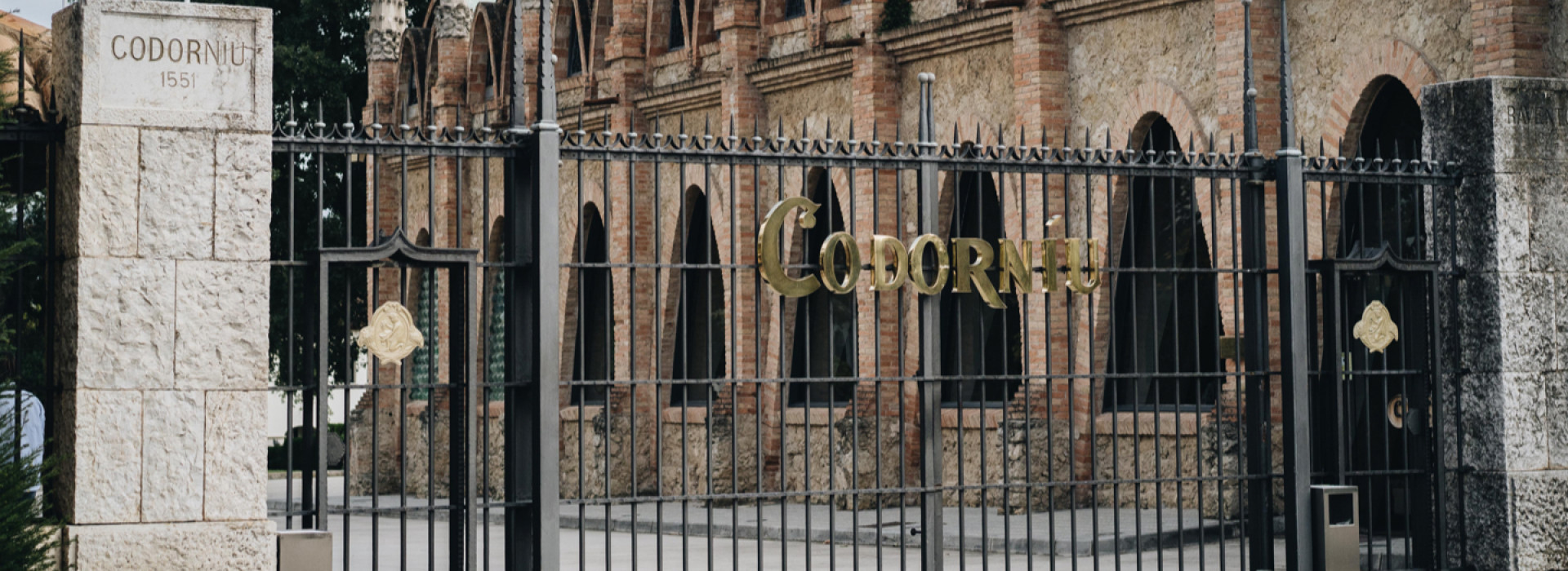 header_contactanos_codorniu_0.jpg