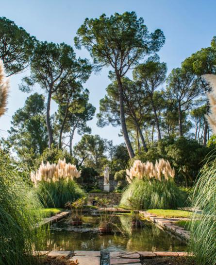 codorniu winery tour barcelona